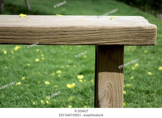 Wooden bench in outdoors garden in summer, stock photo