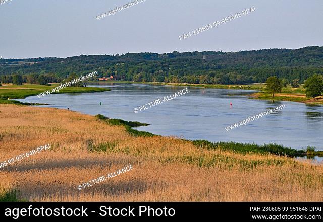 05 June 2023, Brandenburg, Criewen: View over the landscape at sunset at the German-Polish border river Oder in the Lower Oder Valley National Park