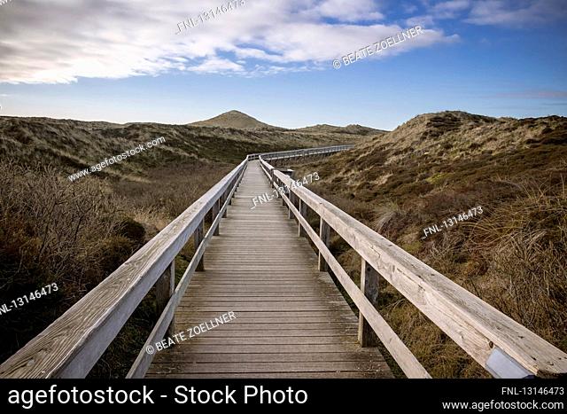 Boardwalk through dunes, Wenningstedt-Braderup, Schleswig-Holstein, Germany, Europe