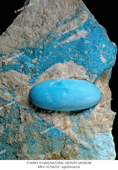 A specimen of the mineral turquoise (hydrated copper aluminum phosphate). This mineral is one of the most valuable non-transparent minerals