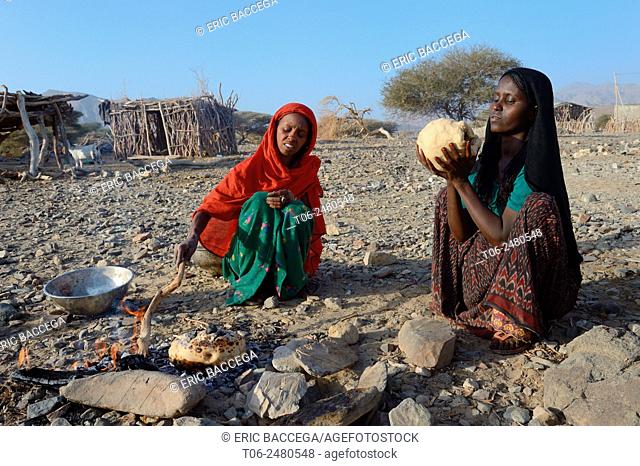 Afar tribe women baking bread with a hot stone at their fireplace, Malab-Dei village, Danakil depression, Afar region, Ethiopia, Africa