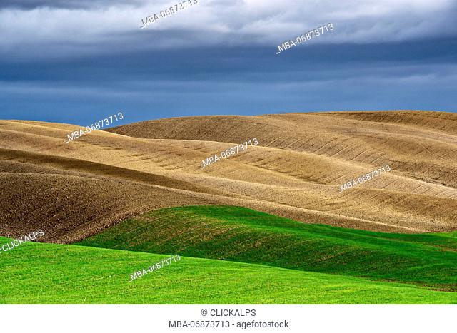 hills of val d'orcia, val d'orcia, pienza, siena, Tuscany, italy