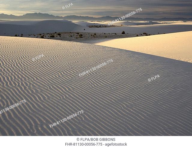 Wind-sculpted white gypsum dunes, White Sands National Monument, New Mexico, U S A