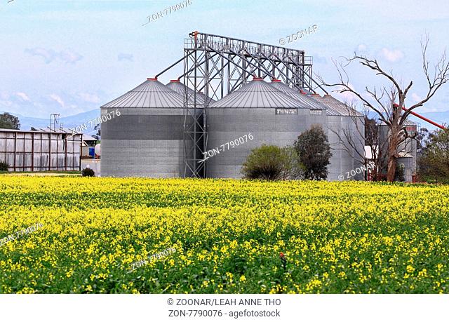 Bilimari canola and grain silos