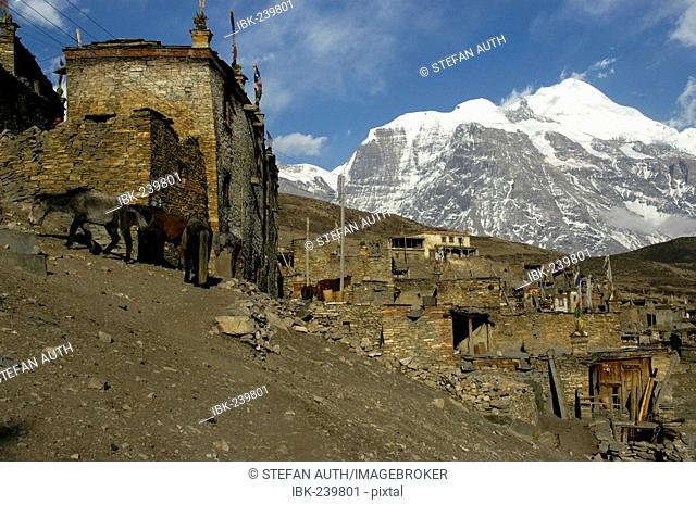 Nested Houses made of stones with flat roofs with mountain Kang Guru in the background Nar Nar-Phu Annapurna Region Nepal