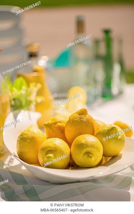 Lemons in fruit platter on a garden table