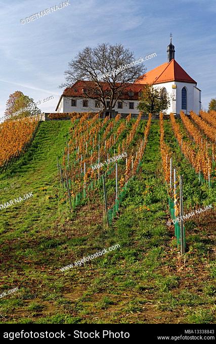 Vogelsburg and vineyards on the Volkacher Mainschleife, Unterfanken, Bavaria, Germany