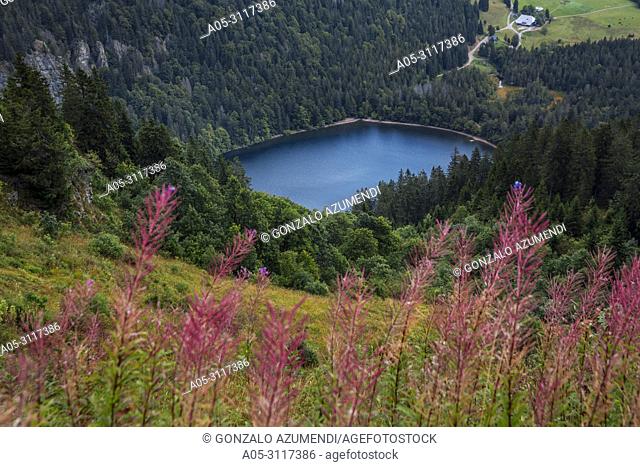 View from Feldberg Mountain. Feldsee lake. Black Forest. Baden-Wuerttemberg, Germany, Europe