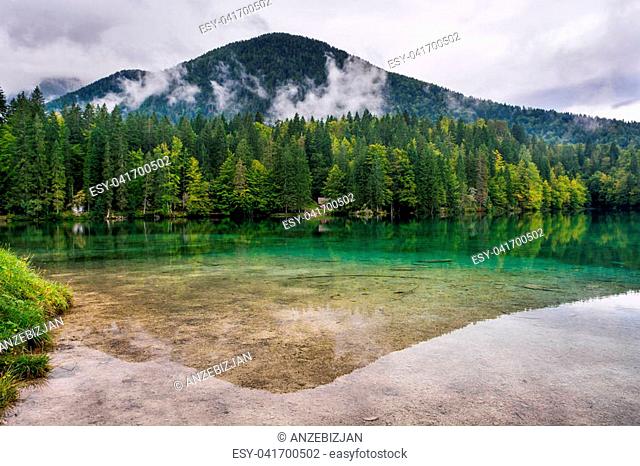 Forest lake panorama. Laghi di Fusine under Mangart, Italy