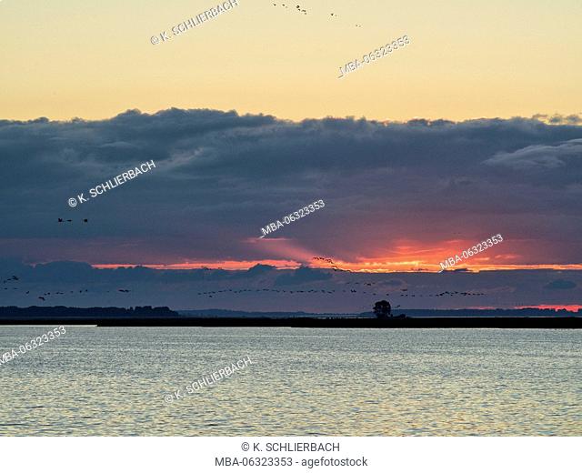 Germany, Mecklenburg-Western Pomerania, Western Pomerania Lagoon Area National Park, morning sky over the Barther Bodden / Barth Lagoon close Zingst