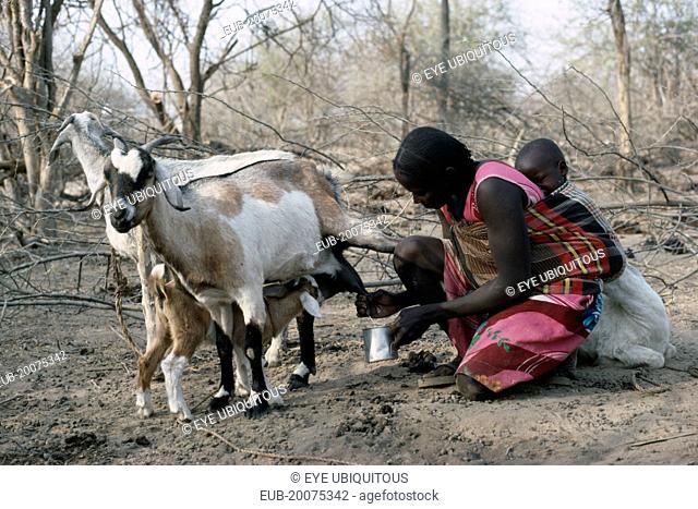 Baggara Arab nomad woman from the Beni Halba tribe milking goat with young child tied to her back