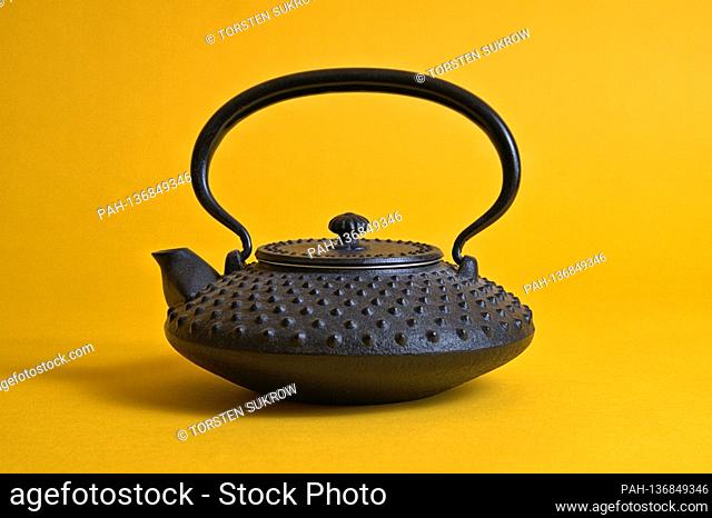 A small original Iwachu cast iron teapot from Japan with the so-called, hail pattern (Arare), here in smaller size (Chu-Arare)