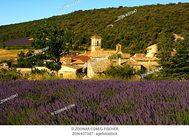 Das Dorf Montsalier zwischen Lavendelfeldern, Provence, Frankreich / The village of Montsalier between lavender fields, Provence, France