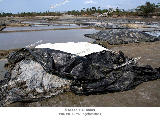 Salt plantation at Bashkhali It is one of the oldest and most ubiquitous of food seasonings and used to preserve food Salt is farmed in the coastal regions in...