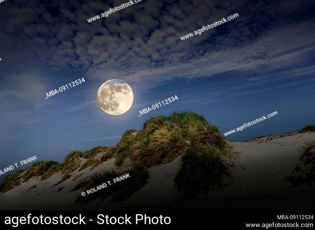 Denmark, Jutland, Ringkobing Fjord, dunes on the beach of Nymindegab, with full moon