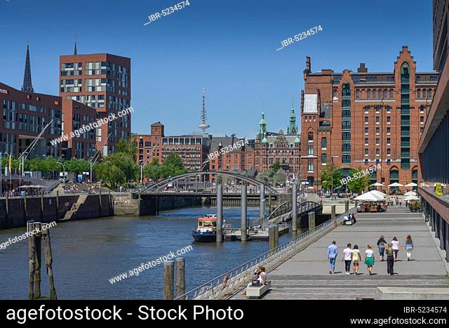 Magdeburg Harbour, Busanbrücke, International Maritime Museum, Elbtorquartier, Hafencity, Hamburg, Germany, Europe