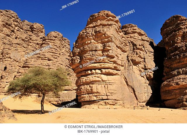 Sandstone rock formation at Tikobaouine, Tassili n'Ajjer National Park, Unesco World Heritage Site, Wilaya Illizi, Algeria, Sahara, North Africa