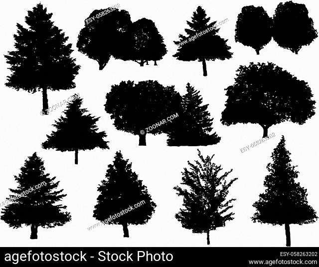 Tree silhouettes collection set