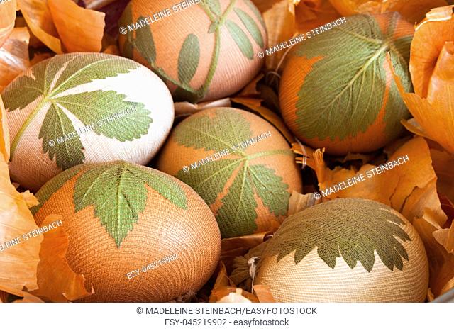 Preparation of easter eggs dyed with onion peels with a pattern of fresh leaves