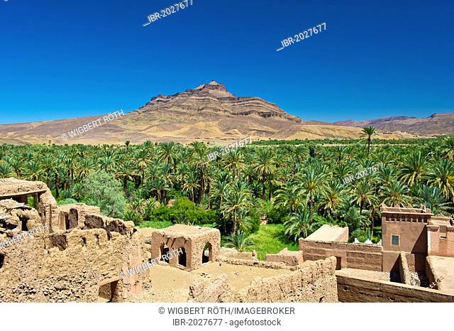 View from the roof of a kasbah, mud fortress, Tighremt, residential castle of the Berbers, over a palm grove towards Djebel Kissane Mountain, Agdz, Draa Valley