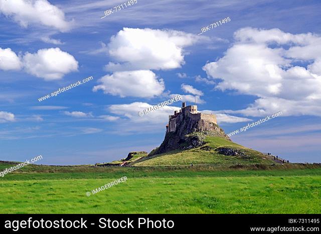 Castle on hill above sea, wide meadow landscape, Lindisfarne Castle, Holy Island, England, Great Britain