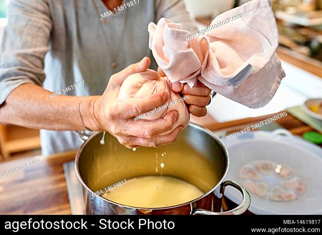 Making paneer, woman squeezing a cheesecloth filled with cream cheese and separating cheese from whey