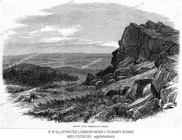 Beacon Hill, in Charnwood Forest, Leicestershire