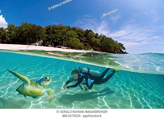 Female diver with a turtle in the shallow waters off an island, Dimakya Island, Palawan, Philippines, Pacific Ocean