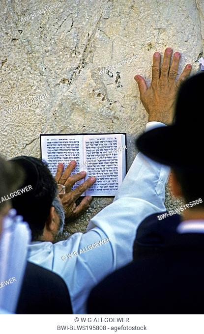 orthodox jew with torah praying at Western Wall, Israel, Jerusalem