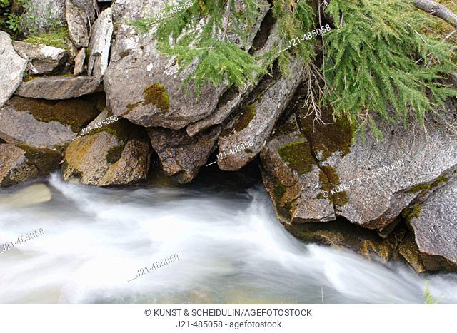 River Tauernbach, Tauerntal near Jamnig-Alm, Mallnitz, Hohe Tauern National Park, Alps, Kärnten/Carinthia, Austria