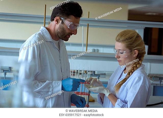 University students doing a experiment in laboratory