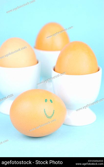 Hard Boiled eggs isolated against a blue background