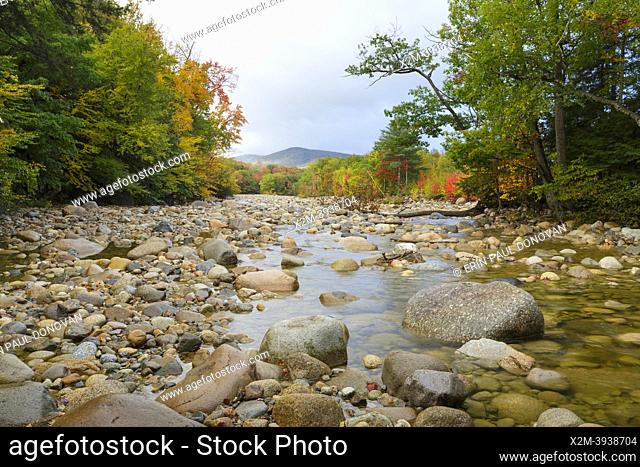 Looking downstream at autumn foliage along the rocky East Branch of the Pemigewasset River, near Lincoln Village, in Lincoln