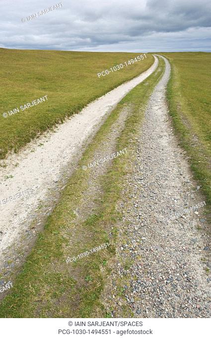 Path Across a Countryside Grassland