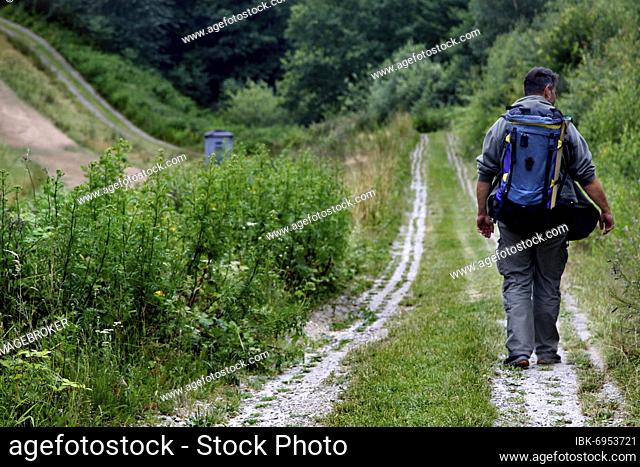 Hiker, man with backpack on Kolonnenweg, Lochplattenweg, inner-German border fortification, death strip, Grünes Band, border trail, Werratal