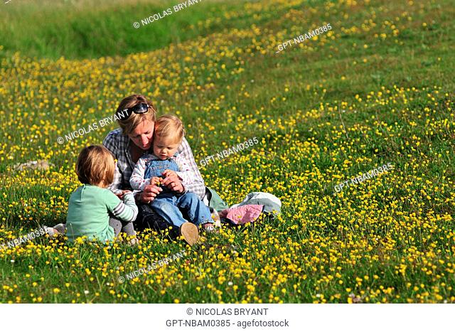 MOTHER AND HER DAUGHTERS IN A FIELD OF BUTTERCUPS IN SPRING, HABLE D'AULT, BAY OF SOMME, SOMME 80, FRANCE