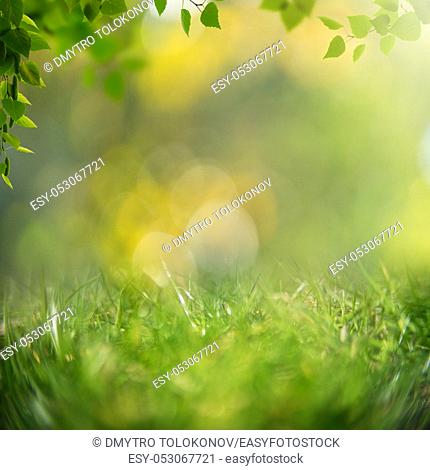 Beauty healthy backgrounds with foliage, green grass and bokeh