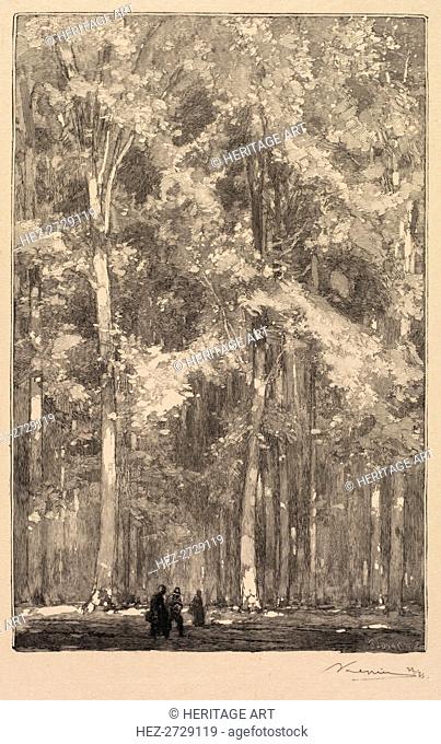 Fontainebleau Forest: Morning, Crossroads of the Route of the Forts de Marlotte.., 1890. Creator: Auguste Louis Lepère (French, 1849-1918); A