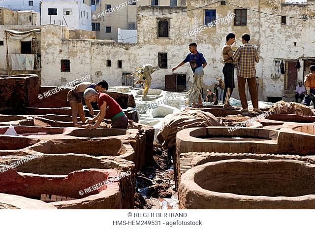 Morocco, Middle Atlas, Fez, Imperial City, Fez El Bali, medina listed as World Heritage by UNESCO, Chouara, the tanners district