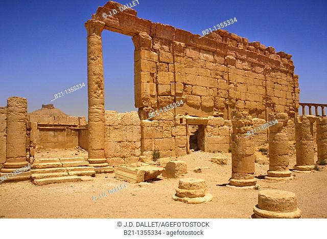 Agora and banquet room on the left, Palmyra, Syria