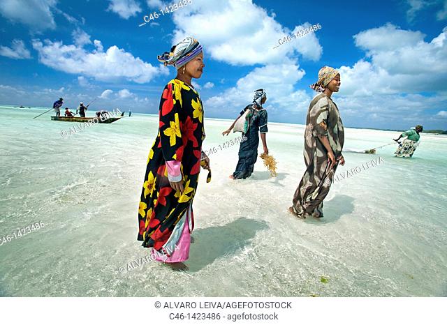 Jambiani beach, Zanzibar Island, Tanzania