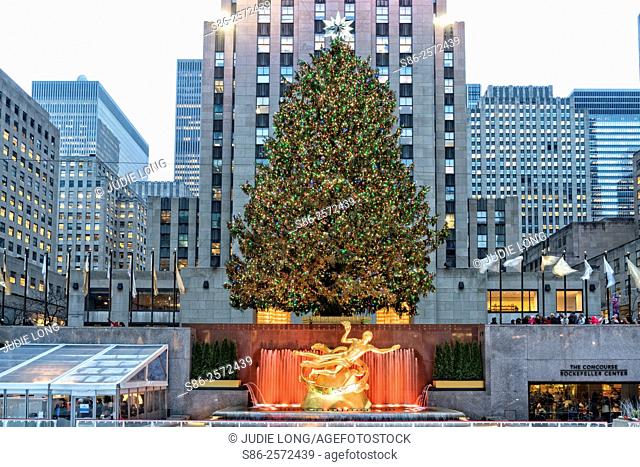 Christmas Tree, Behind the Ice Skating Rink, at Rockefeller Center, Fifth Avenue, Manhattan, New York City. Rockefeller Center Office Buildings and Skyline in...