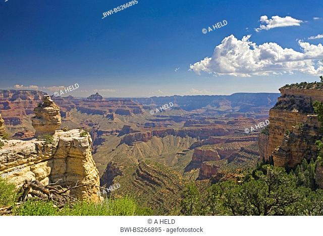view to Grand Canyon with 'Duck on a Rock' formation, USA, Arizona, Grand Canyon National Park
