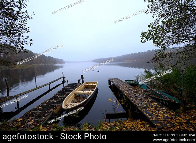11 November 2021, Brandenburg, Fürstenberg/Havel/Ot Himmelpfort: A rowing boat lies on the leaf-covered shore of Haussee in a light fog