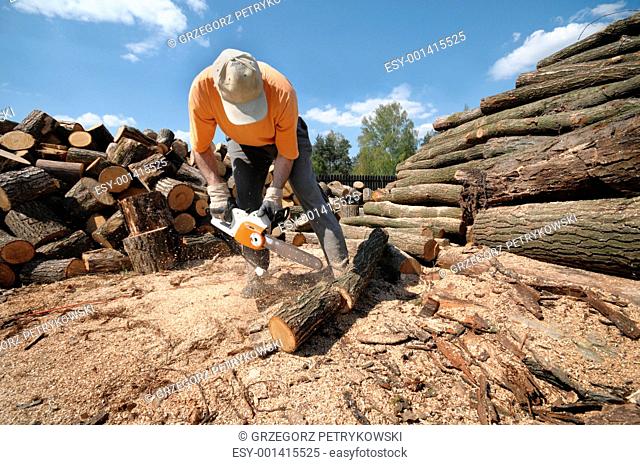 Cutting logs