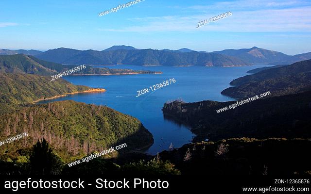 View of the Endeavour Inlet, Marlborough Sounds. Landscape in New Zealand
