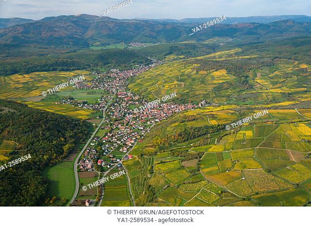 France, Haut Rhin 68, Wines road, village of Westhalten, vineyards in autumn aerial view