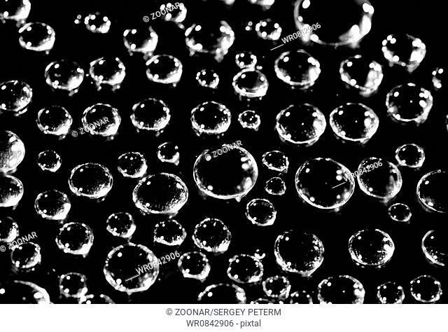 Water droplets on a black background