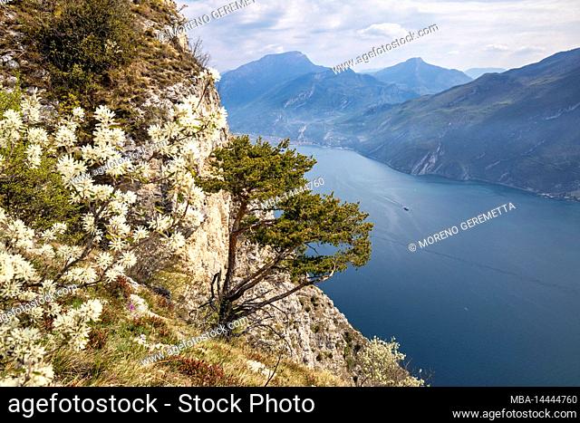 Italy, Trentino, Trento province, Riva del Garda, Pregasina. Landscape from Punta Larici high above the Garda lake