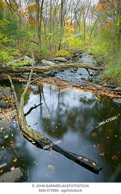 A view of a creek in Cat Rock Park, in Weston Massachusetts
